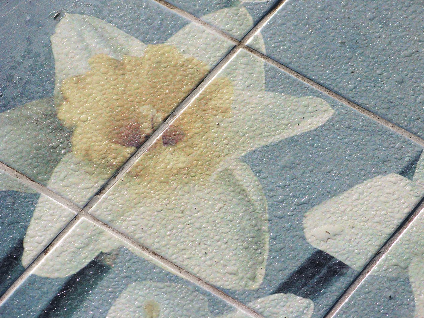 narcissen-IMG_1407-klein