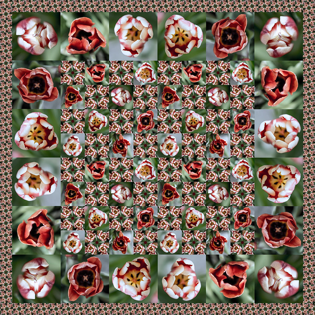 tulpen-7filter2rand-lowres