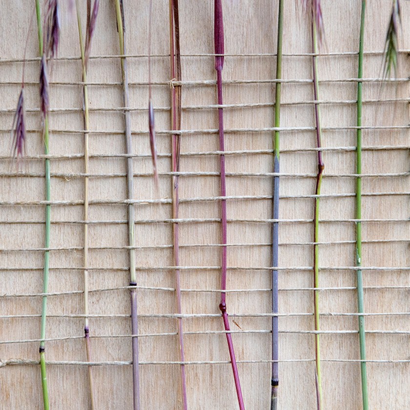 nostalgia - geweven wandeling 08.06.2020, eilandje De Banne