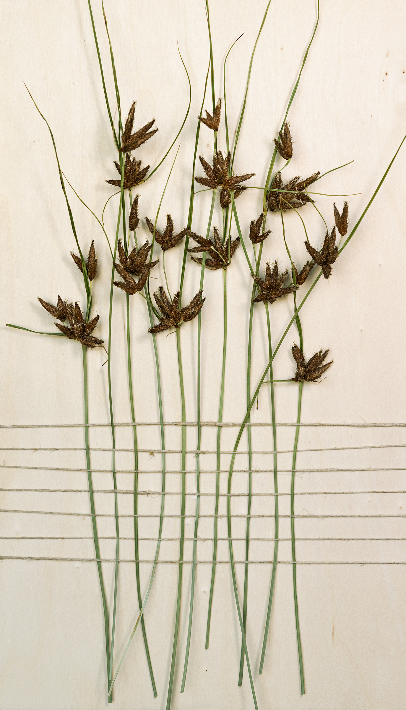 gewevenwandeling_YW_DSC9834-uitsnede