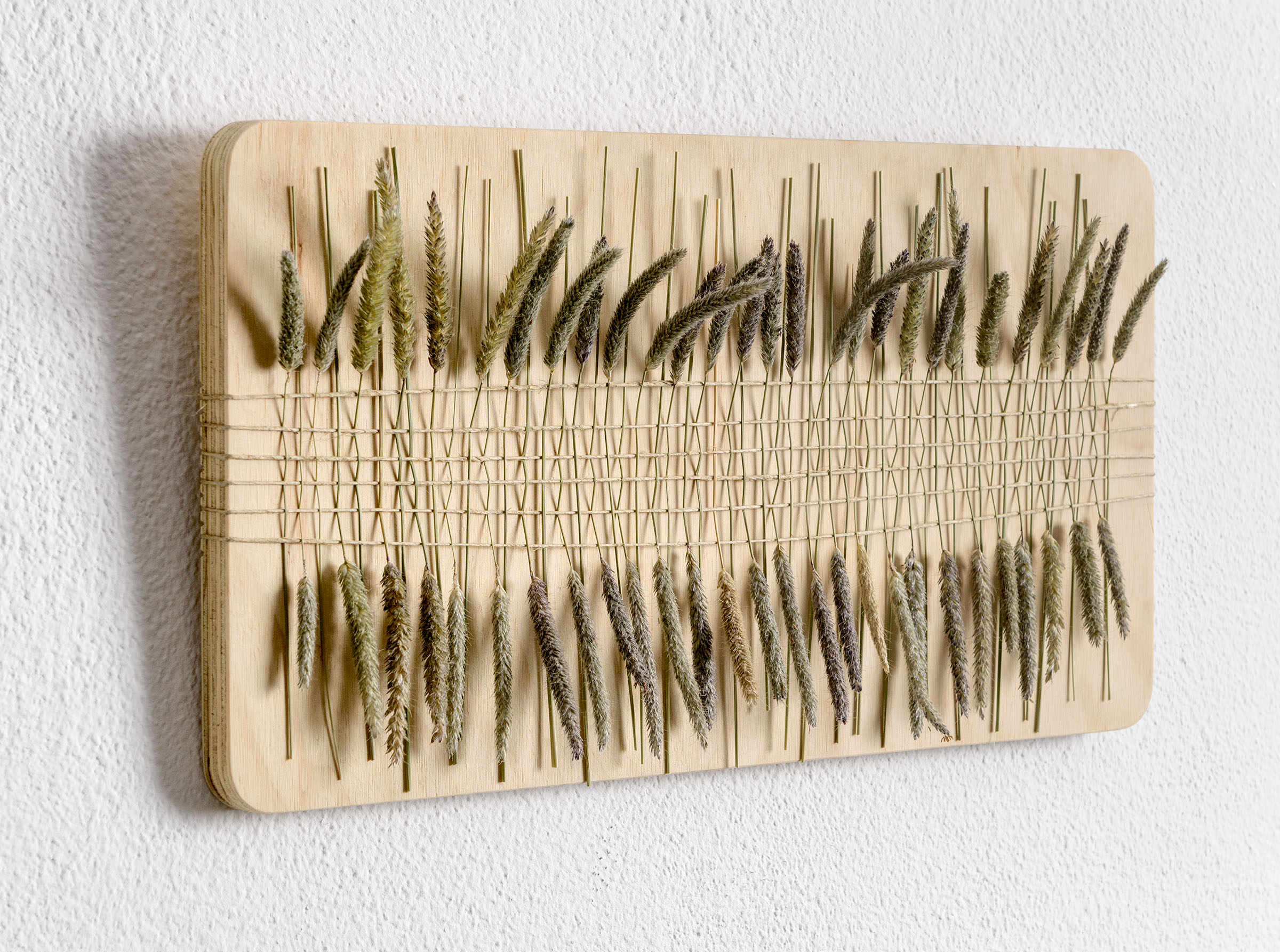 nostalgia-gewevenwandeling_YW_DSC6807